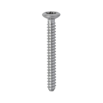 ŚRUBA DO SCREW SYSTEM TX, 1 X 10 MM, OP. 10 SZT.