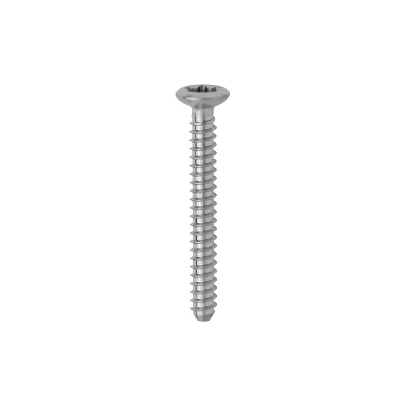 ŚRUBA DO SCREW SYSTEM TX, 1 X 10 MM, OP. 10 SZT.