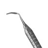 PILNIK DO BIFURKACJI 9S/10S, SCHLUGER CURVED FILE, UCHWYT SATIN STEEL