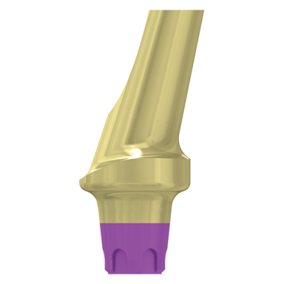 FILAR TYTANOWY KĄTOWY 15 STOPNI, ŚR. 4,8 MM Z PROFILOWANYM STOPNIEM 1 MM, DO IMPLANTÓW C1/V3, SP