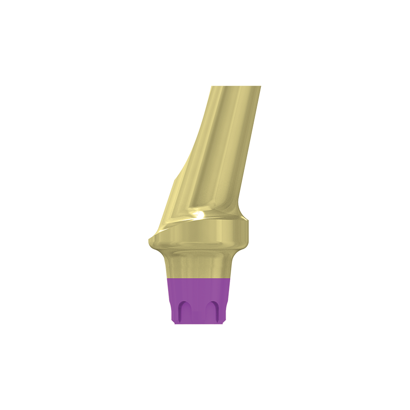 FILAR TYTANOWY KĄTOWY 15 STOPNI, ŚR. 4,8 MM Z PROFILOWANYM STOPNIEM 1 MM, DO IMPLANTÓW C1/V3, SP