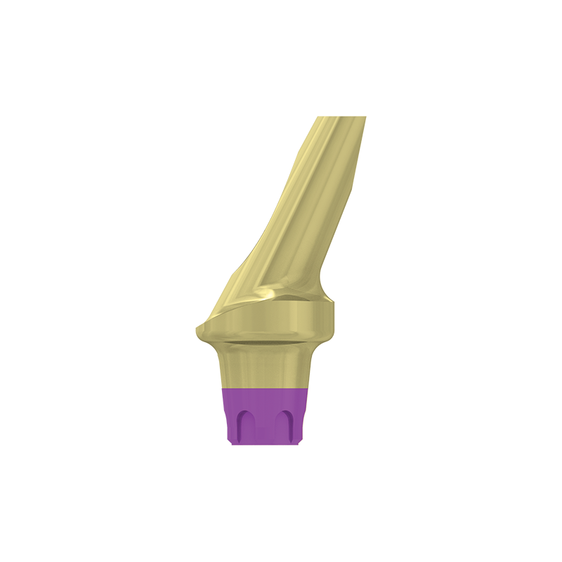 FILAR TYTANOWY KĄTOWY 25 STOPNI, ŚR. 4,8 MM Z PROFILOWANYM STOPNIEM 1 MM, DO IMPLANTÓW C1/V3, SP