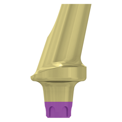 FILAR TYTANOWY KĄTOWY 15 STOPNI, ŚR. 5,8 MM Z PROFILOWANYM STOPNIEM 1 MM, DO IMPLANTÓW C1/V3, SP