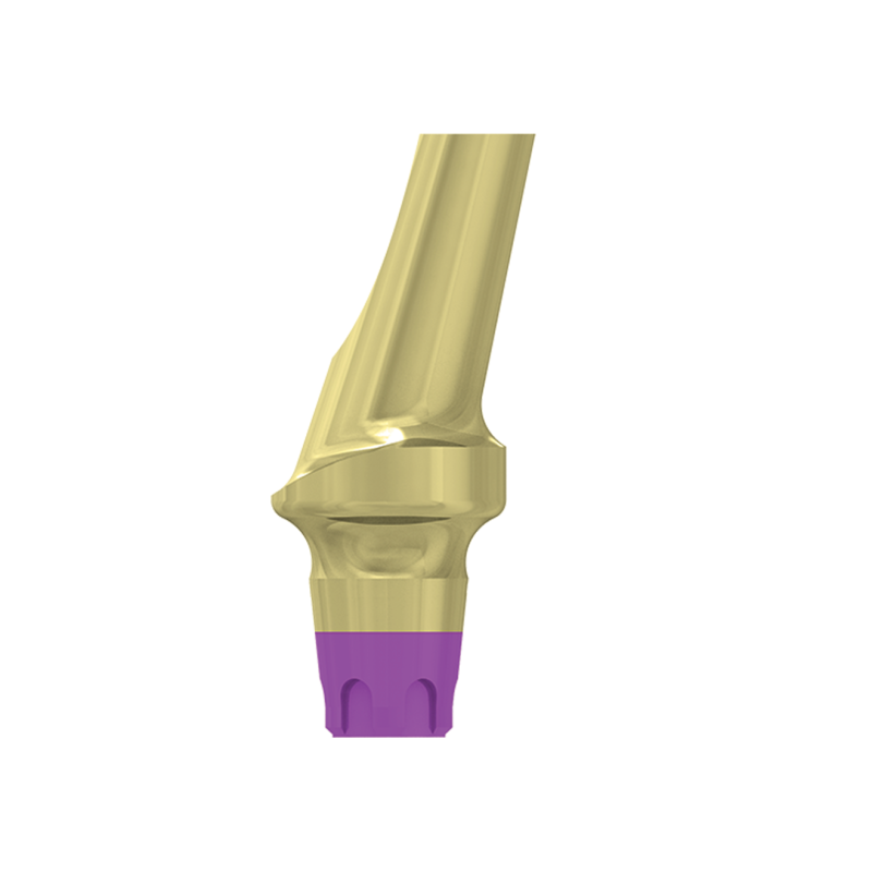 FILAR TYTANOWY KĄTOWY 15 STOPNI, ŚR. 4,8 MM Z PROFILOWANYM STOPNIEM 2 MM, DO IMPLANTÓW C1/V3, SP