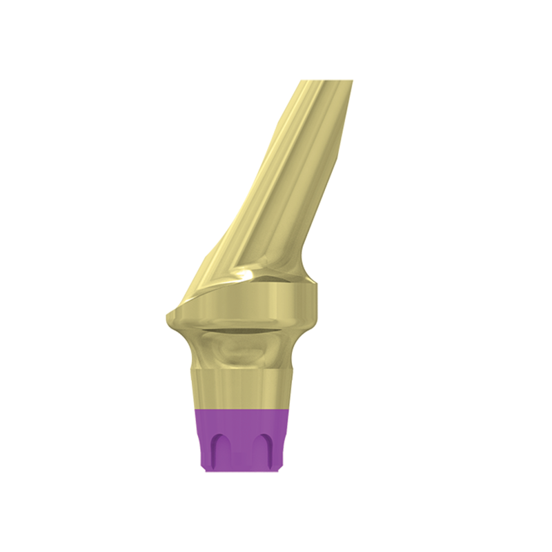 FILAR TYTANOWY KĄTOWY 25 STOPNI, ŚR. 4,8 MM Z PROFILOWANYM STOPNIEM 2 MM, DO IMPLANTÓW C1/V3, SP