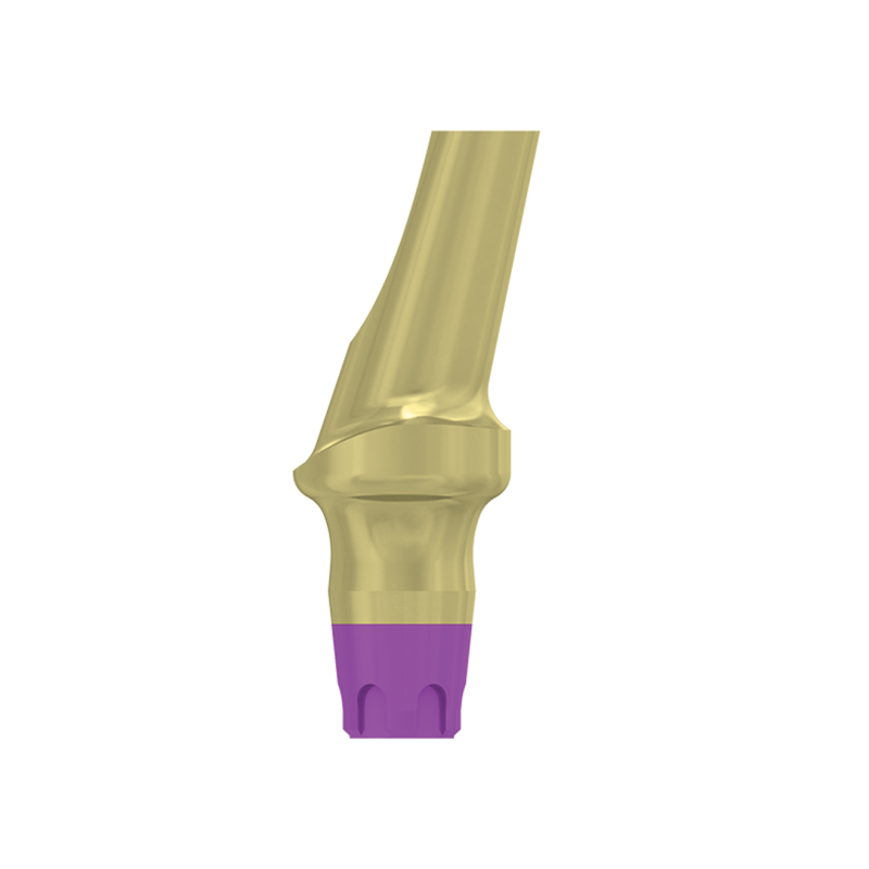 FILAR TYTANOWY KĄTOWY 15 STOPNI, ŚR. 4,8 MM Z PROFILOWANYM STOPNIEM 3 MM, DO IMPLANTÓW C1/V3, SP