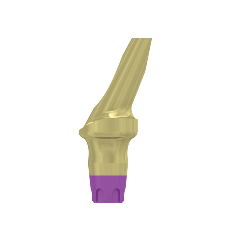 FILAR TYTANOWY KĄTOWY 25 STOPNI, ŚR. 4,8 MM Z PROFILOWANYM STOPNIEM 3 MM, DO IMPLANTÓW C1/V3, SP