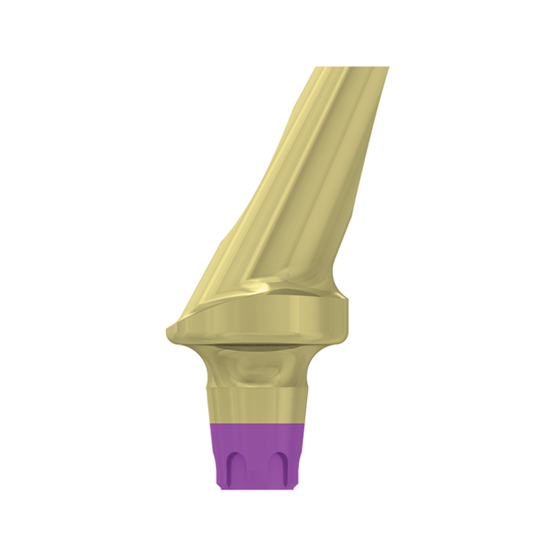 FILAR TYTANOWY KĄTOWY 25 STOPNI, ŚR. 5,8 MM Z PROFILOWANYM STOPNIEM 2 MM, DO IMPLANTÓW C1/V3, SP