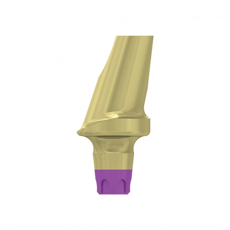 FILAR TYTANOWY KĄTOWY 15 STOPNI, ŚR. 5,8 MM Z PROFILOWANYM STOPNIEM 2 MM, DO IMPLANTÓW C1/V3, SP