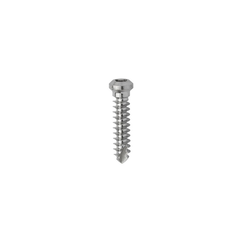 MIKROŚRUBA, UZUPEŁNIENIE ZESTAWU MICRO SCREW SYSTEM‚ BY PROF. DR. FOUAD KHOURY, ŚR. 1,0 MM, DŁ. 6 MM..