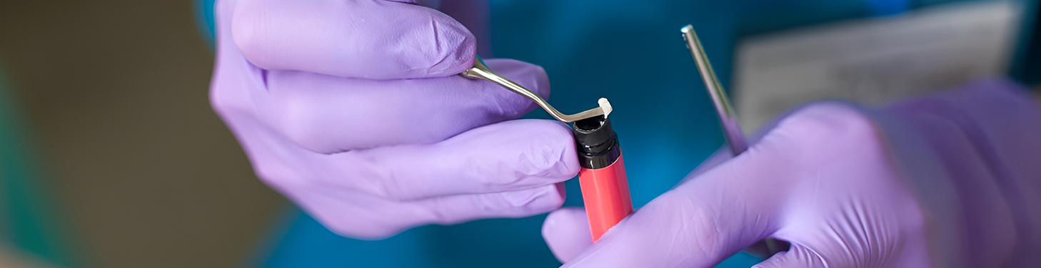 Wypełnienia i systemy wiążące